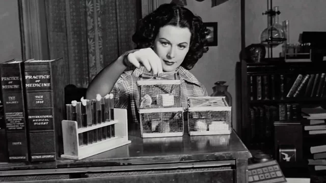 Hedy Lamarr and the Communication System