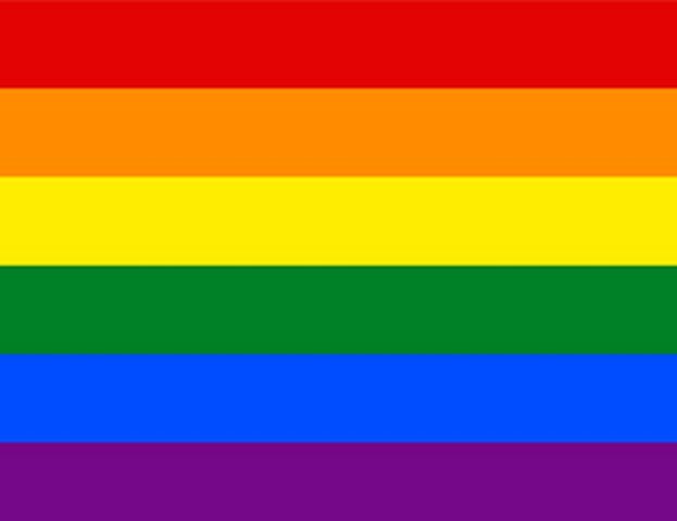 Legalització matrimoni homosexual