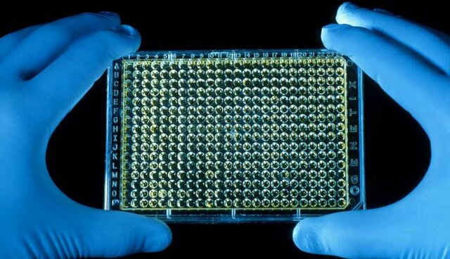 Le Projet du génome humain voit le jour