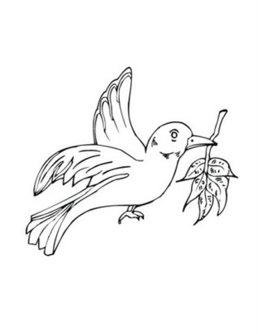 Olive Branch Petition