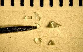 physical evidence used in cases