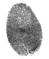 fingerprints found to be unique