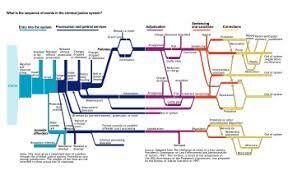 first national crime system