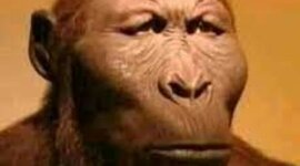 Timeline: La historia de los ordenadores