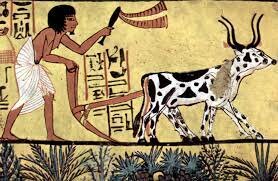 farmers
