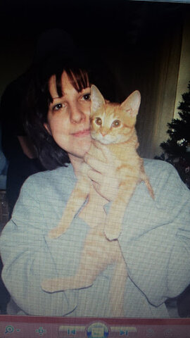 I got a cat (Bennie)