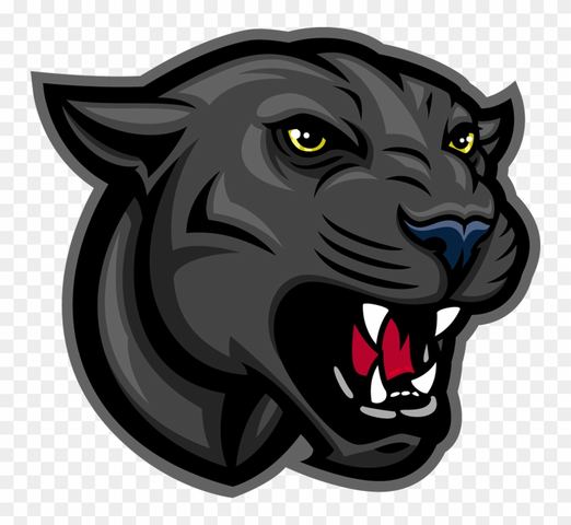 I started 10th grade at my 6th school