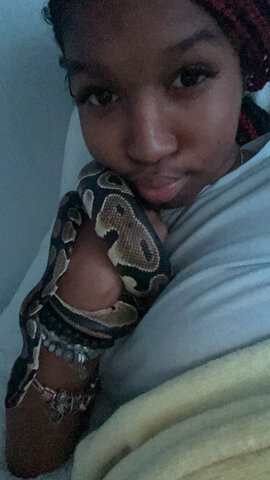 bought my snake