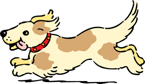 When my grandparents dog ran away