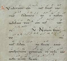 'Neumes'