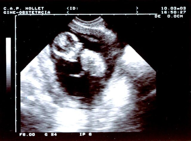 Confirmen la meva exsistencia al món