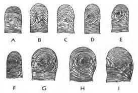 Detection after cleaning: A way for scientists to visualize fingerprints even after the print has been removed is developed, relating to how fingerprints can corrode metal surfaces.