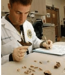 Four second dental match - Japanese researchers develop a dental x-ray matching system.