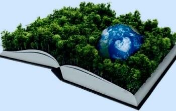 Reorganización 1999