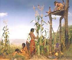 Apparition de l'agriculture