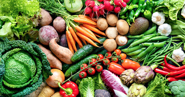 Apparition de l’agriculture