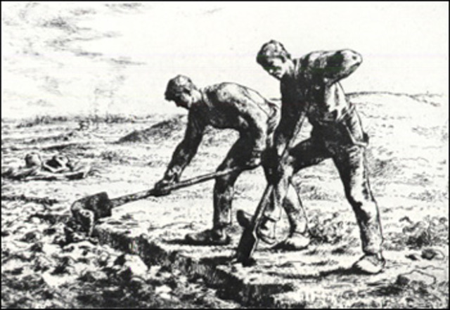 The Diggers Reactions