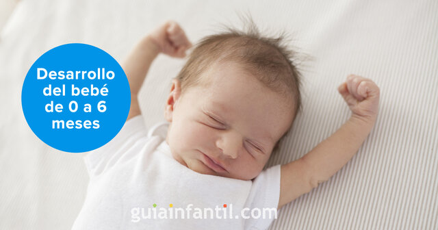 Desarrollo del bebé de 0 a 6 meses