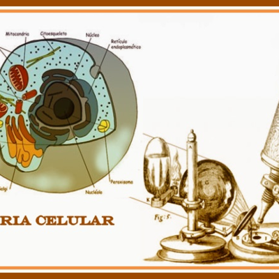 Timeline: Teoria celular