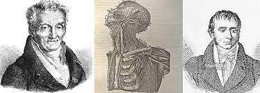 Marie Françoise Xavier Bitchat y Phillie Pinel