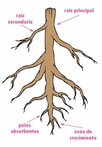 Innovación de Microscopio