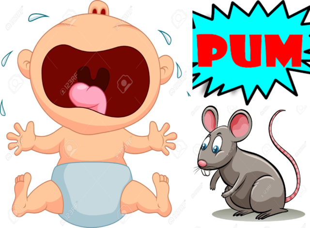 Condicionamiento Clásico de Reacciones Emocionales