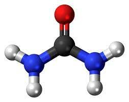 Sintesis de la urea