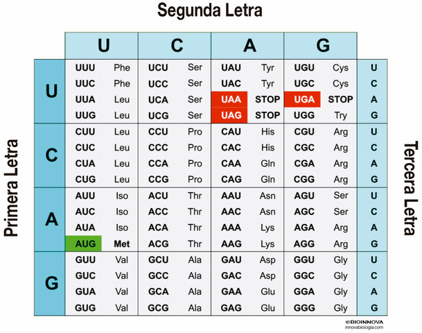 Composición del código genético