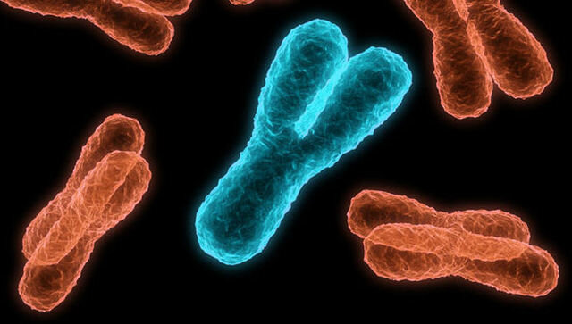 La vida artificial ya está aquí