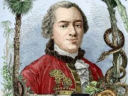 George Louis conde de Buffon/ Maupertuis