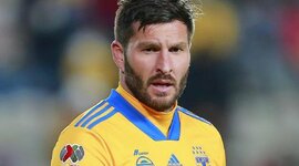 Timeline: andre pierre gignac