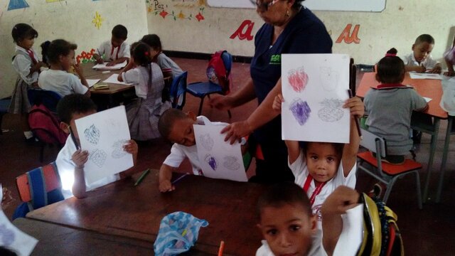 Bachman y Palmer: Competencia Metacognitiva