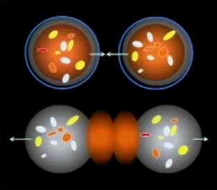 Teoría MOND (Modified Newtonian Dynamics) - (Mordechai Milgrom)