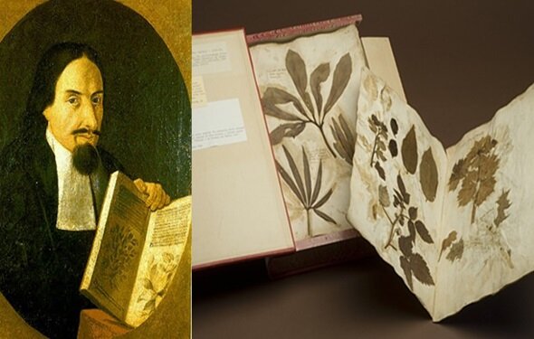 Primer herbario moderno