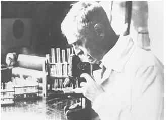 Investigations into blood markers.