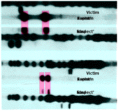 DNA catches the criminal.