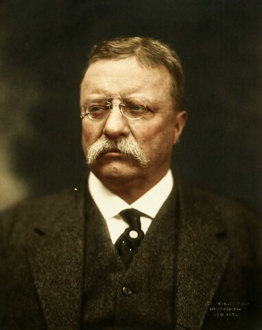 Presidencia de Theodore Roosevelt 1897-1909  1917-1921