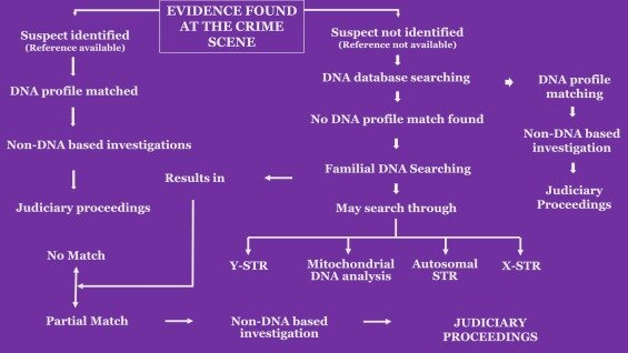 Familial DNA puts Elusive Killers Behind Bars.