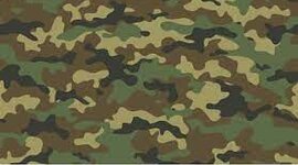 Timeline: War on Terror Timeline