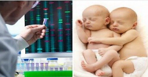 Mezillos modificados