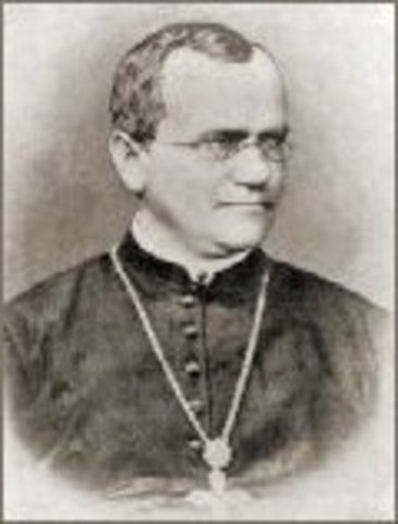 Gregor Mendel