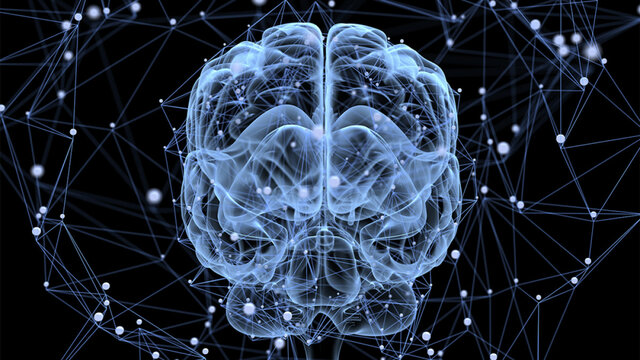 Modelo multicomponente