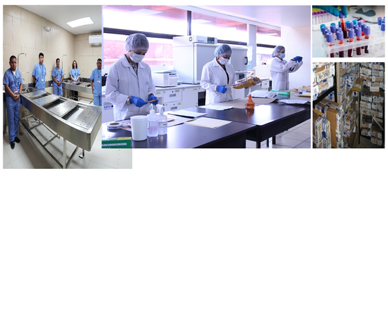 Instituto Nacional de Ciencias Forenses