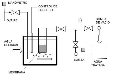 Desarrollo de primeros biorreactores de membrana