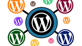 Timeline: WORDPRESS