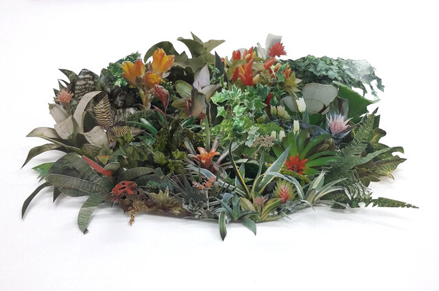 Sistemática Botánica