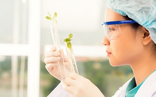 Ciencias Biomédicas en America