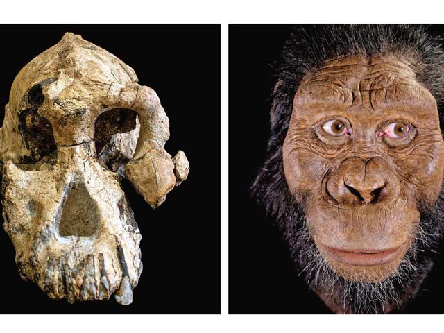 Homínido más antigúo