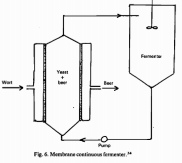 Fermentadores continuos de membrana