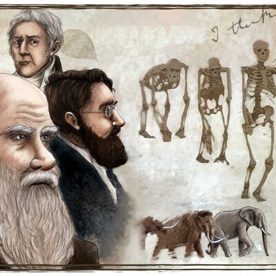 Timeline: La teoría sintética de la evolución